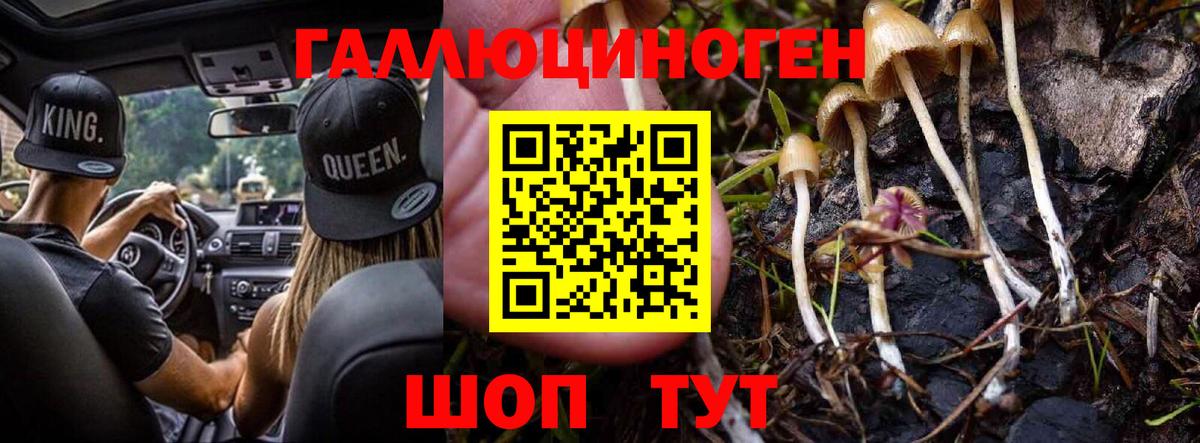 Знаменск  Галлюциногенные грибы мухоморы  Вход с VPN 